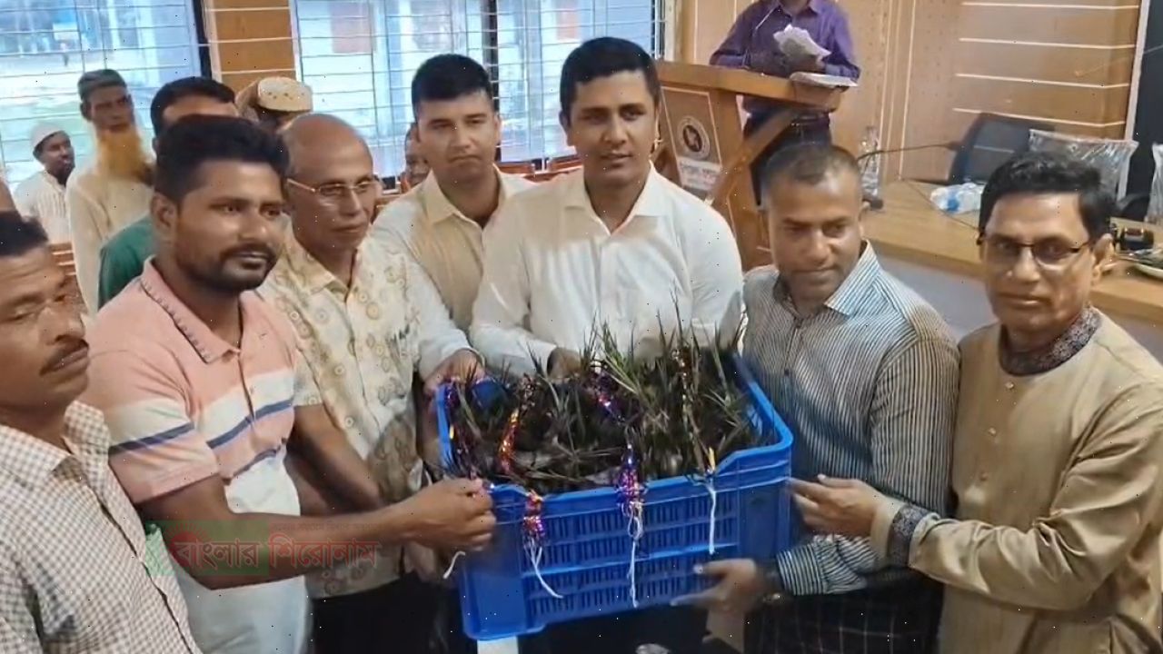 কলাপাড়ায় কৃষকের মাঝে গোলপাতা গাছের চারা ও আউশ ধানের বীজ বিতরন
