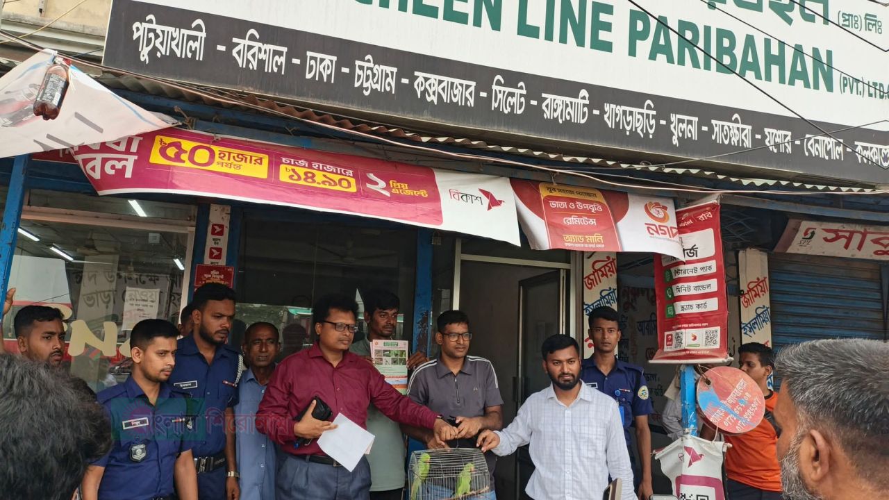 পটুয়াখালীতে খাঁচায় টিয়া পাখি নিয়ে ঢাকায় যাওয়ার পথে নারীর জরিমানা, পাখি জব্দ