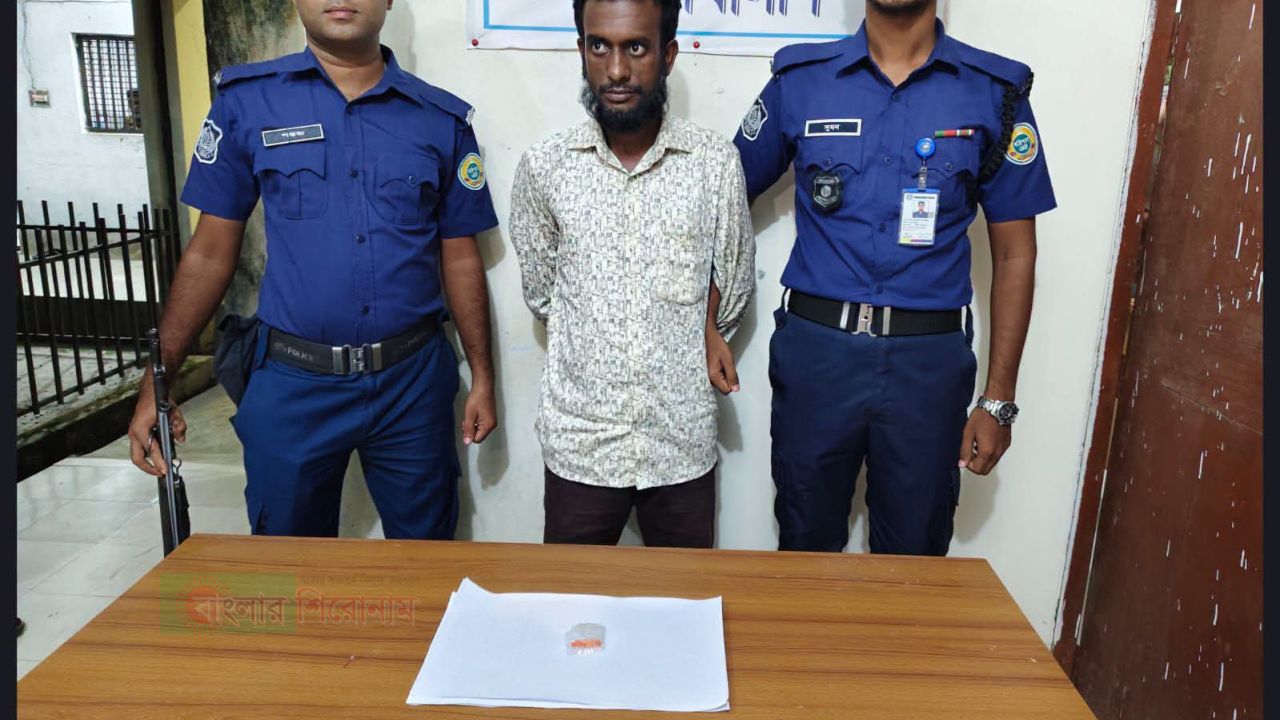 গলাচিপায় ইয়াবাসহ ৪ মামলার আসামি তানভীর গ্রেপ্তার