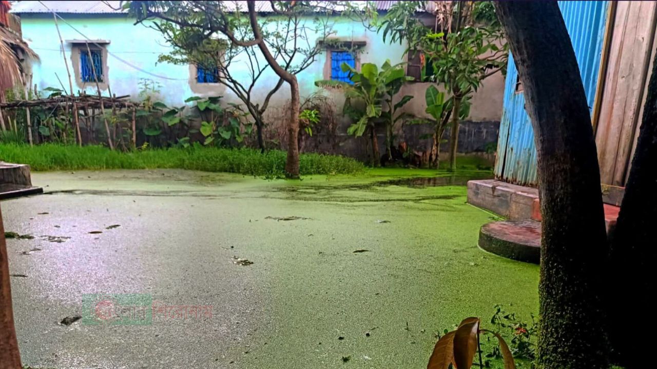 বন্দরে টানা বর্ষণে ৩টি ওয়ার্ডে তীব্র জলাবদ্ধতা 