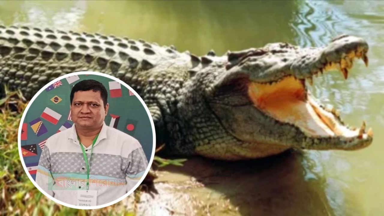 আন্তঃজেলা নদীতে কুমিরের উপস্থিতি নিয়ে উদ্বেগ, কারণ অনুসন্ধানের দাবি