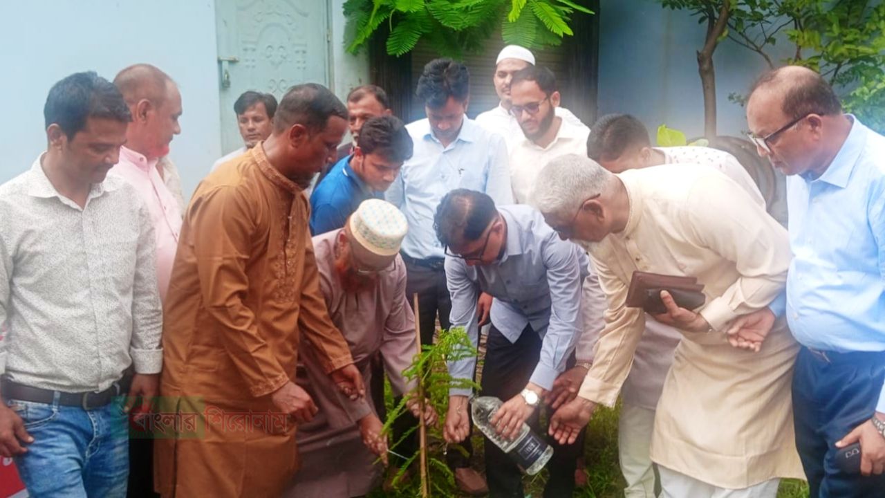নারায়ণগঞ্জে সরকারি গাড়িচালক সমিতির ৩ দিনব্যাপী বৃক্ষরোপণ কর্মসূচি 