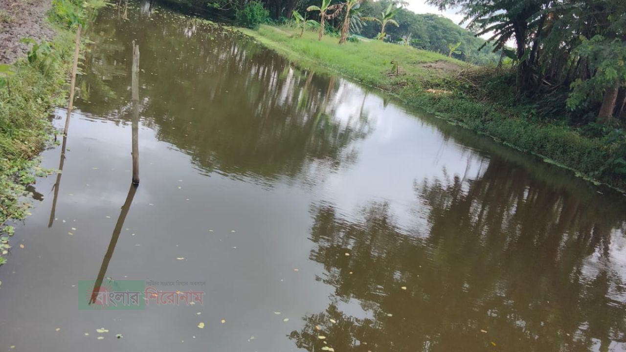 গলাচিপায় সরকারি খাল দখল, প্রশাসনের হস্তক্ষেপ দাবি
