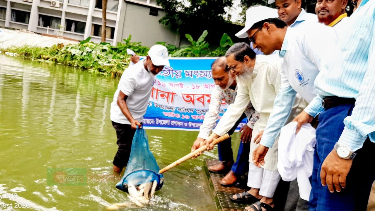 বন্দরে জাতীয় মৎস্য পক্ষ-২০২৬ উদ্ভোধন করলেন আবুল কালাম এমপি