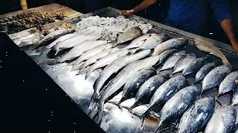  কুয়াকাটার ফিস ফ্রাই মার্কেট।